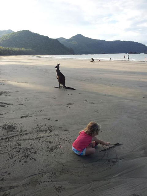 Seaforth Holiday Units - Accommodation QLD 1