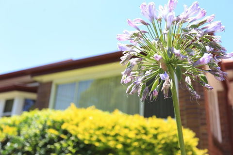 Sydney, Bexley North Holiday Home 3bedrooms, Free Parking, Close To Train Station And CBD - Accommodation QLD 1