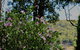 The Getaway Roleystone - thumb 1
