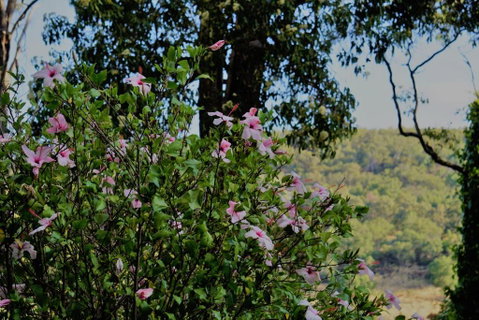 The Getaway Roleystone - Accommodation QLD 1