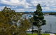 Beachport Apartments - thumb 3