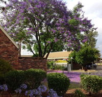 Belvoir Village Motel  Apartments Wodonga - Accommodation QLD