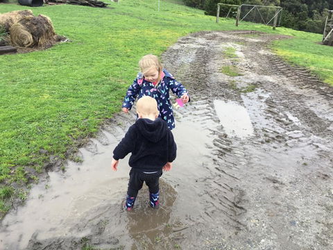 Beth's Cottage Roaring 40s - Accommodation QLD 3