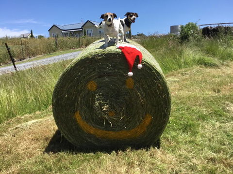 Beth's Cottage Roaring 40s - Accommodation QLD 1