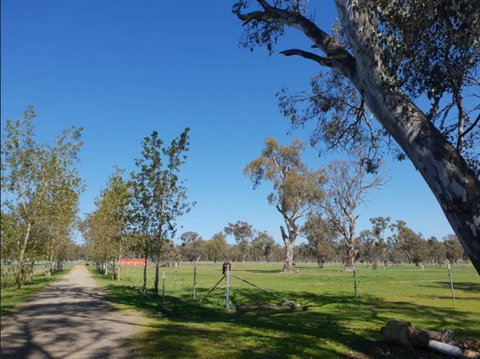 Big Tiny Jindera Park - Accommodation QLD 3