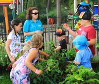 Book Lemon Tree Passage Accommodation Vacations Accommodation QLD Accommodation QLD