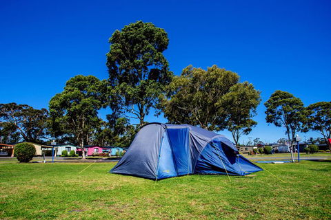 BIG4 Traralgon Park Lane Holiday Park - Accommodation QLD 2