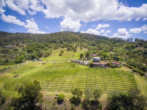 Bimbadeen Estate - Accommodation QLD 1