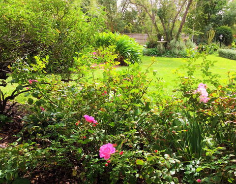 Bindley House B&B Cottage - Accommodation QLD 2
