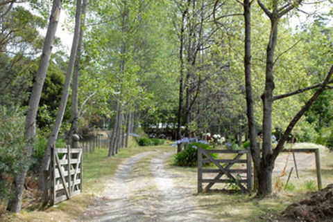 Birdwing Bed And Breakfast Weegena - Accommodation QLD 3
