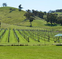 Blue House at Mountainside Wines - Accommodation QLD