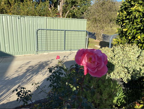Blue Manor On Fairway - Accommodation QLD 2