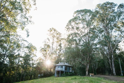 Bluegums Cabins - Accommodation QLD 0