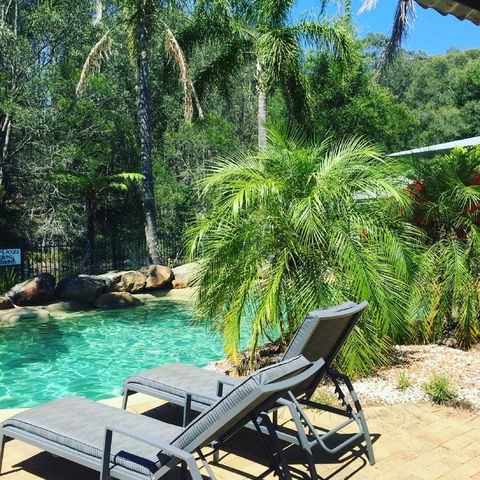Bluegums Cabins - Accommodation QLD 3