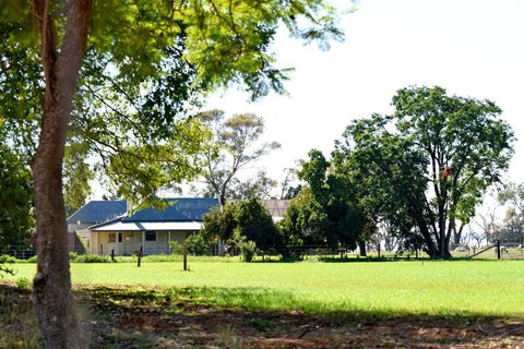 The Jetty Hut - Lake Frontage Barmera Riverland - Accommodation QLD 2
