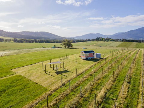 Warburton Tiny House - Tiny Stays - Accommodation QLD 2