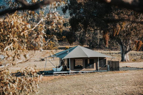 Wildnest Farmstay - Accommodation QLD 1