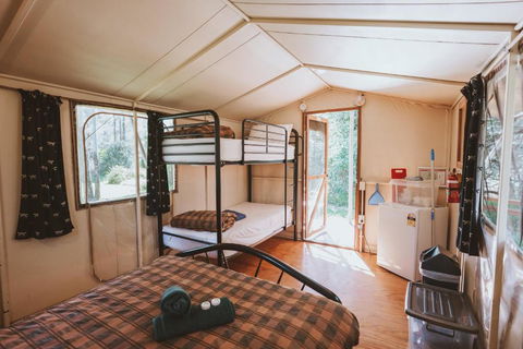 BIG4 Breeze Holiday Parks - Carnarvon Gorge - Accommodation QLD 1