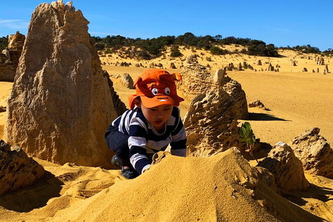 Perth Kids Explorer (Private) Day Tour - Accommodation QLD 3