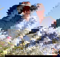 Spring Wildflower Private Day Tours - Accommodation QLD