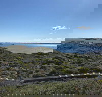 Penguin Island And Fremantle - Canoe Chocolate  Coffee - Accommodation QLD