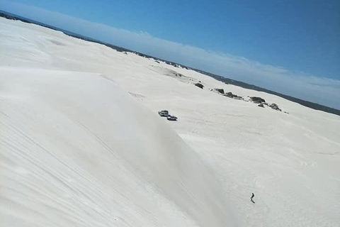 Yanchep & Lancelin - Wildlife, Cave And Sands - Accommodation QLD 3