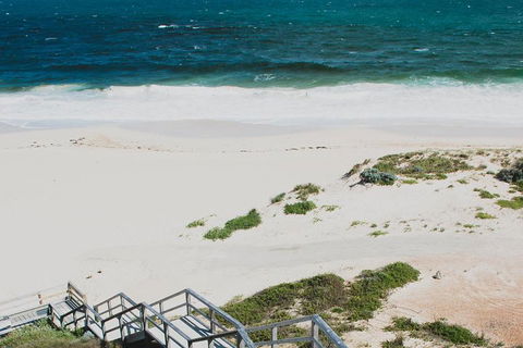Yanchep & Lancelin - Wildlife, Cave And Sands - Accommodation QLD 5