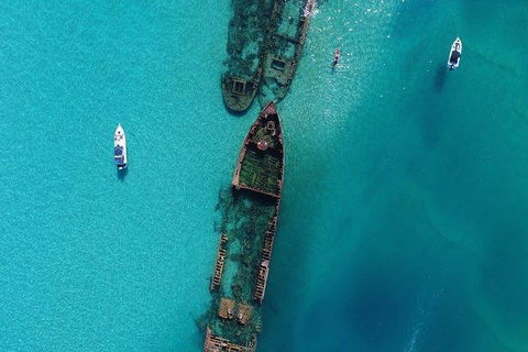 Cruise In Moreton Bay Marine Park And Moreton Island - Accommodation QLD 1