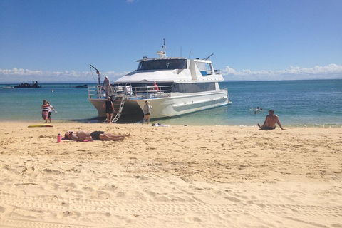 Cruise In Moreton Bay Marine Park And Moreton Island - Accommodation QLD 4