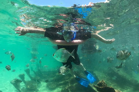 Cruise In Moreton Bay Marine Park And Moreton Island - Accommodation QLD 5