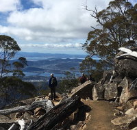 kunanyi / Mt Wellington Explorer Bus - 2 Hour Return Tour