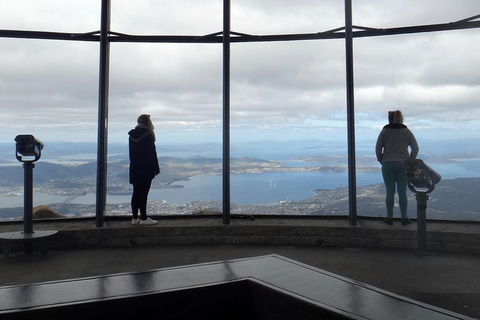 Kunanyi / Mt Wellington Explorer Bus - 2 Hour Return Tour - Accommodation QLD 1