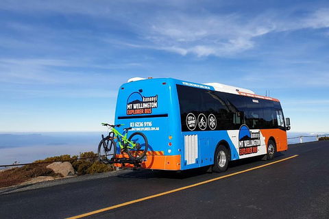 Kunanyi / Mt Wellington Explorer Bus - 2 Hour Return Tour - Accommodation QLD 4