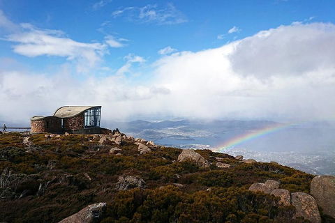 Kunanyi / Mt Wellington Explorer Bus - 2 Hour Return Tour - Accommodation QLD 5
