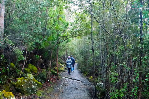 Kunanyi/Mt Wellington Tour & Hobart Hop-On Hop-Off Bus - Accommodation QLD 1