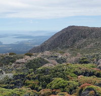 kunanyi/Mt Wellington Explorer Bus - One Way Tour