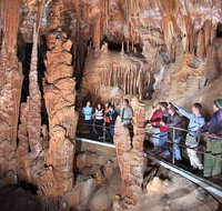 Private Tour Jenolan Caves  Blue Mountains in a day - Accommodation QLD