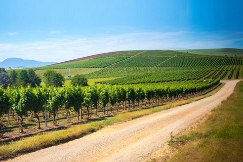 Full Day Tamar Valley Wine Tour - Accommodation QLD 1
