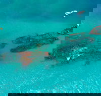 Private Tangalooma Wrecks Tour - Accommodation QLD