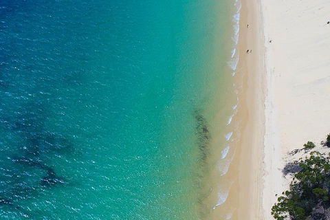 Private Tangalooma Wrecks Tour - Accommodation QLD 1