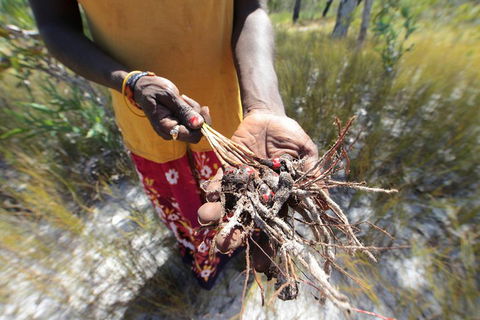 Gay-Wu Woman's 5 Day Yolngu Homeland Tour - Accommodation QLD 0
