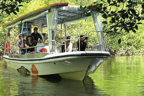 5-Day Best Of Cairns With Daintree, Kuranda, And Great Barrier Reef - Accommodation QLD 1