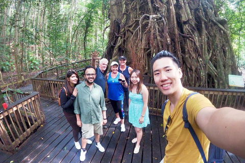 Cairns 4WD Waterfall And Rainforest Tour Including Kuranda Scenic Railway - Accommodation QLD 0
