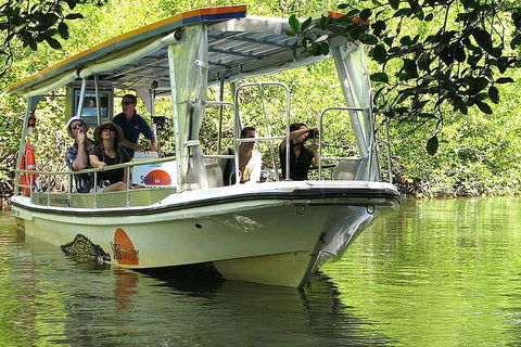 3-Day Best Of Cairns Combo: The Daintree Rainforest, Great Barrier Reef, And Kuranda - Accommodation QLD 4