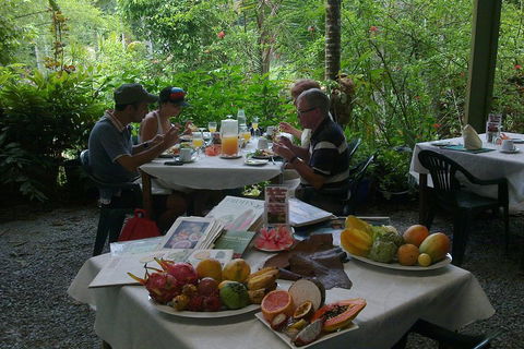 Cairns Reef And Rainforest Combo: Daintree Rainforest And The Great Barrier Reef - Accommodation QLD 3