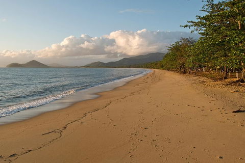 Cairns Reef And Rainforest Combo: Daintree Rainforest And The Great Barrier Reef - Accommodation QLD 4