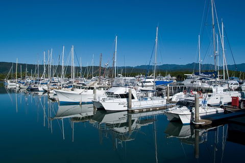 Cairns Reef And Rainforest Combo: Daintree Rainforest And The Great Barrier Reef - Accommodation QLD 5