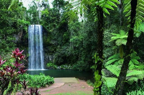 Paronella Park And Millaa Millaa Falls Full-day Tour From Cairns - Accommodation QLD 3