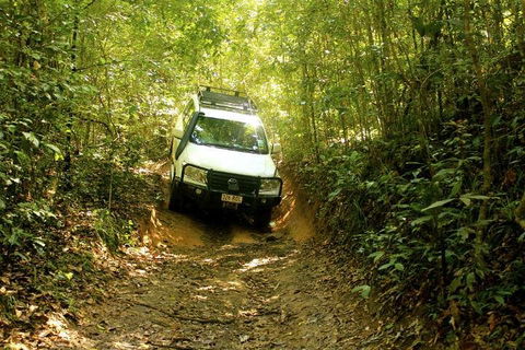 Barron Gorge And Kuranda National Park Half Day Rainforest And Waterfall 4WD Tour From Cairns - Accommodation QLD 2