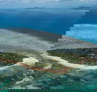 4-Day Cairns with Great Barrier Reef and Daintree Rainforest - Accommodation QLD